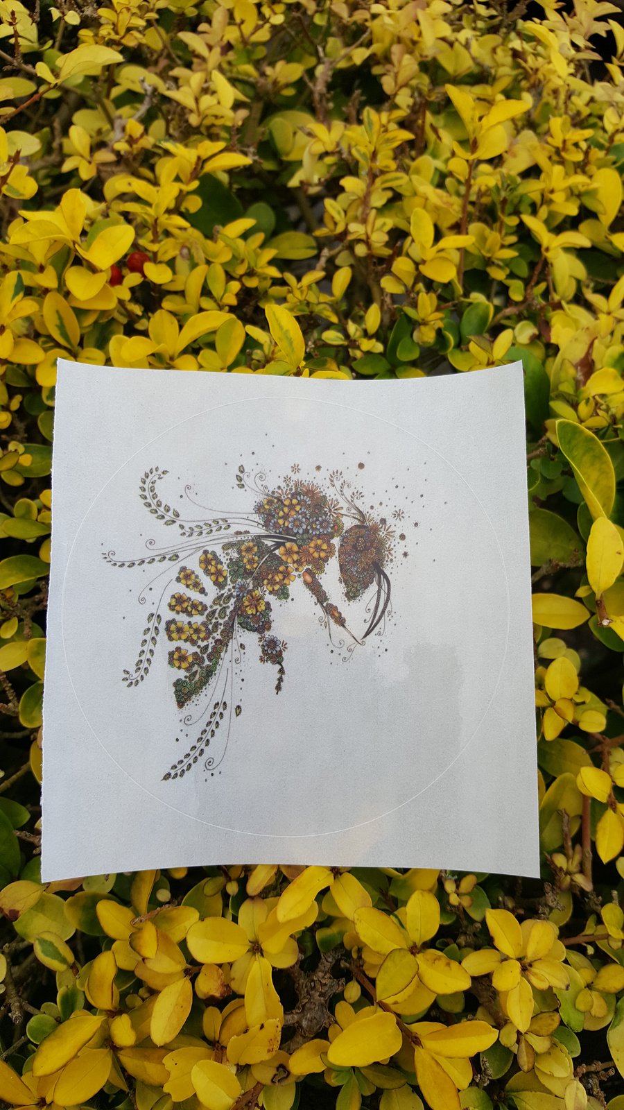 Honey Bee clear window sticker 10cm x 10cm 