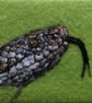 Adder Artwork