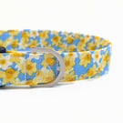Daffodil Dog Collar, Dog Lead, Girl Dog Collar