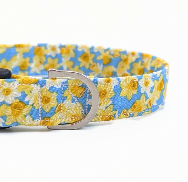 Daffodil Dog Collar, Dog Lead, Girl Dog Collar
