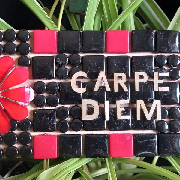 Carpe Diem Motivational Mosaic Wall Plaque for office or home