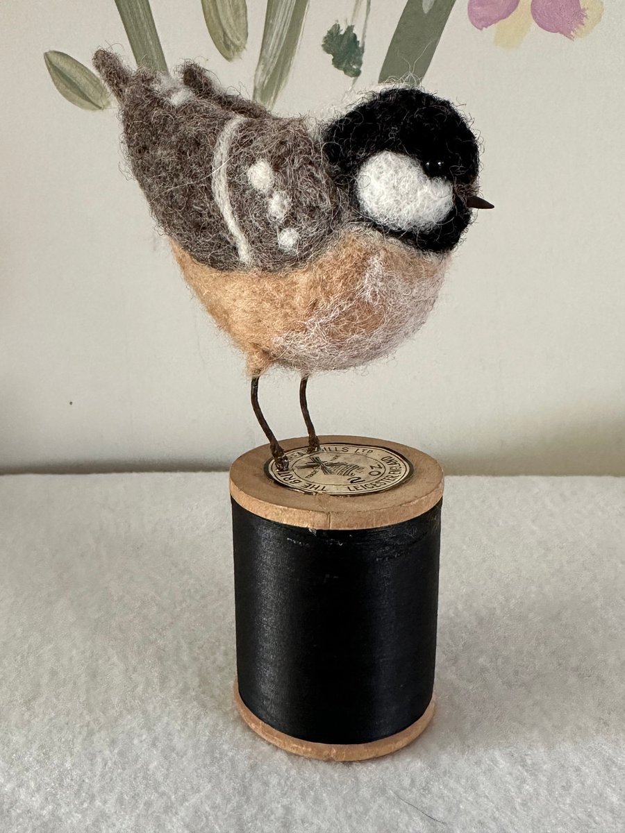 Coal tit on a bobbin 