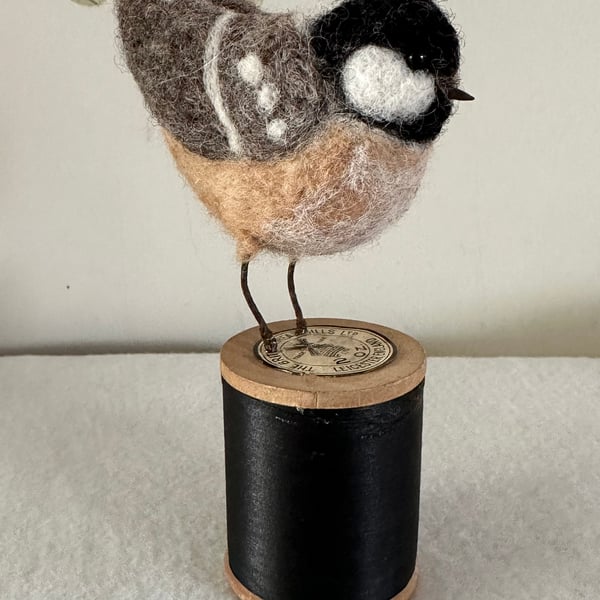 Coal tit on a bobbin 