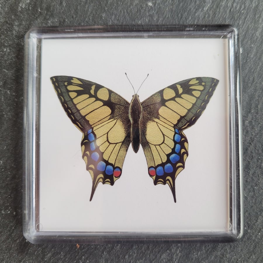 Swallowtail Butterfly Magnet