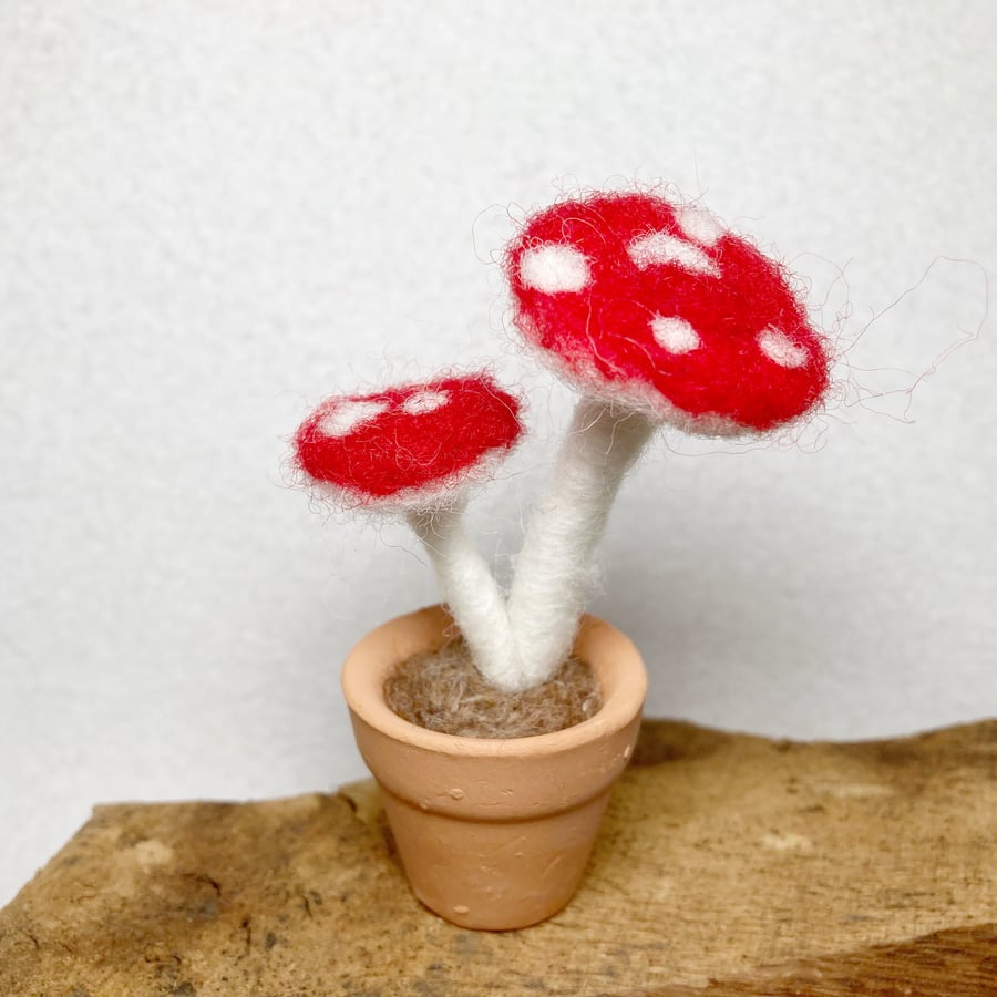 Miniature toadstools - needle felted decoration 