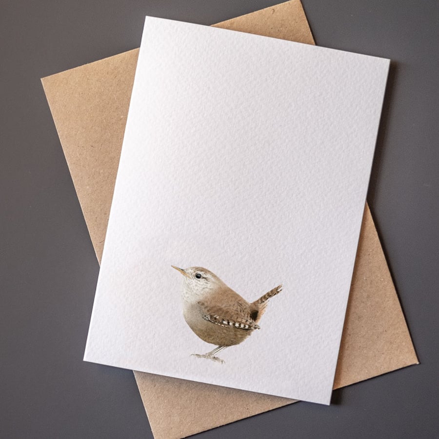 Wren Greeting Card, Greeting Card, Wren, Wren Illustration, Birds, Wren Drawing