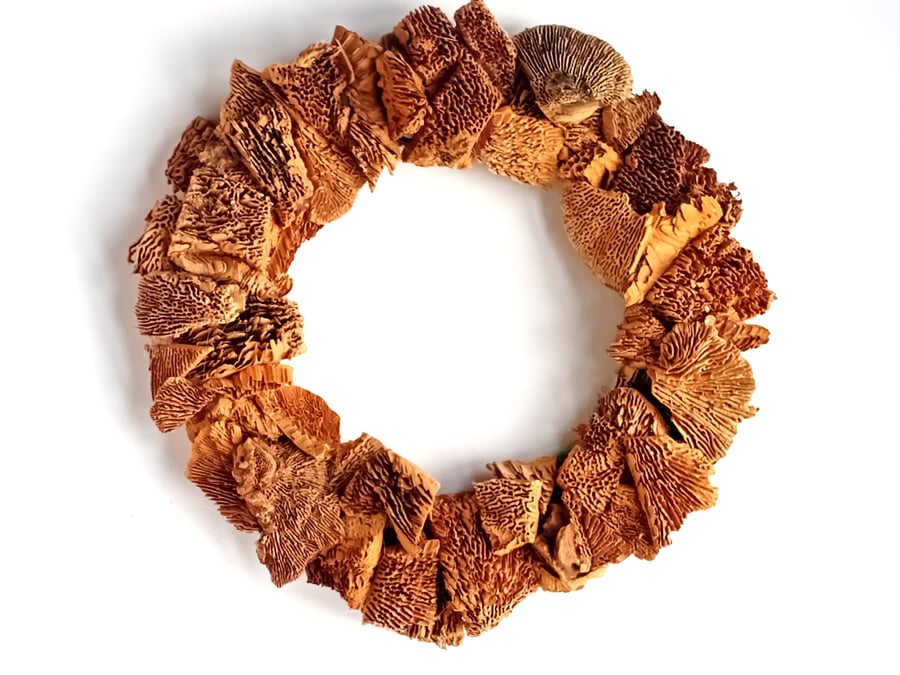 Contemporary dried Cork Bark pieces Wreath