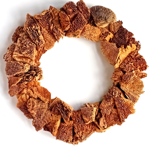 Contemporary dried Cork Bark pieces Wreath
