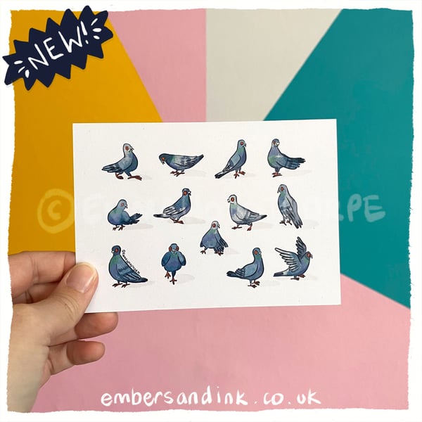 Pigeons Postcard
