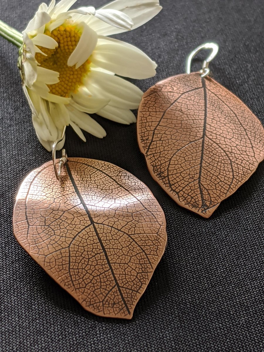 Copper leaf earrings hung on sterling silver ear hooks