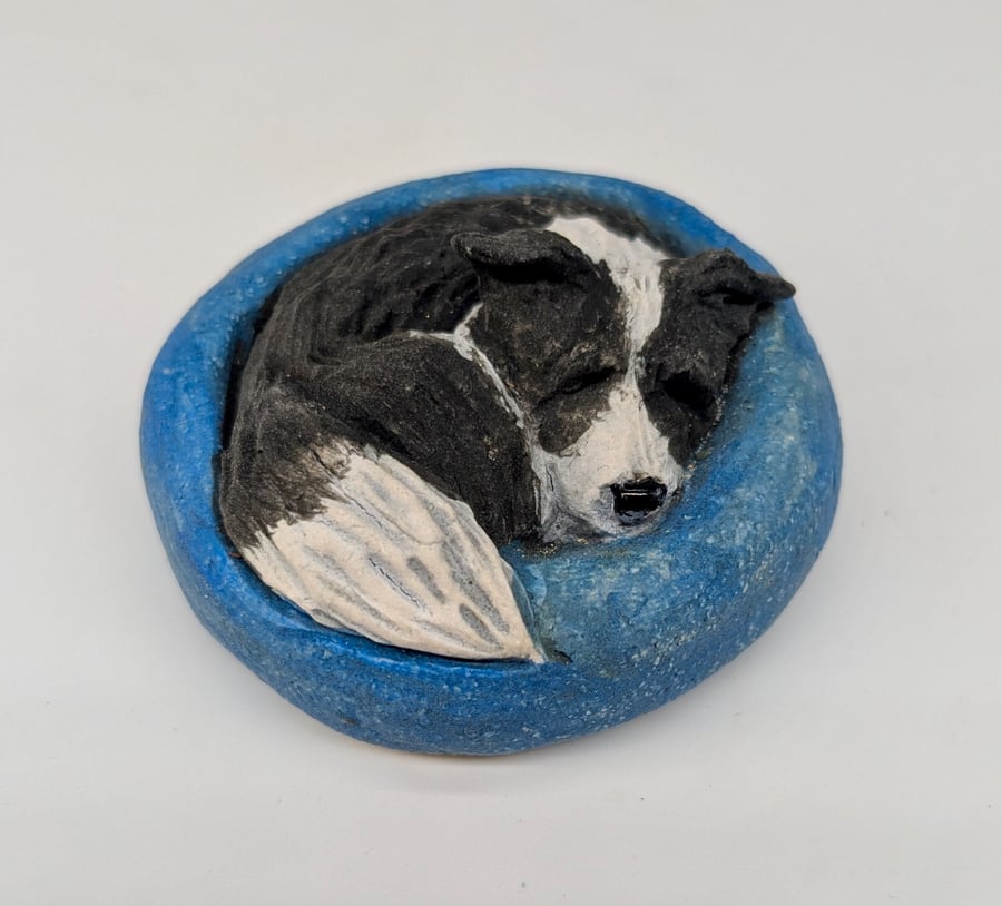 Yorkshire Pudding - Border Collie