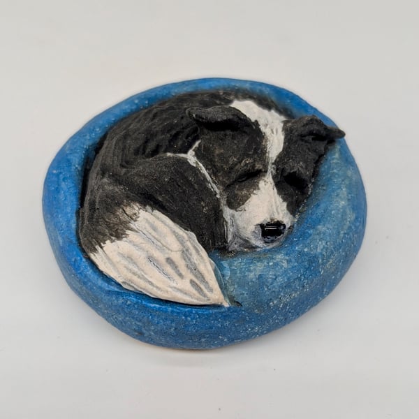 Yorkshire Pudding - Border Collie