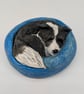 Yorkshire Pudding - Border Collie - Image 1