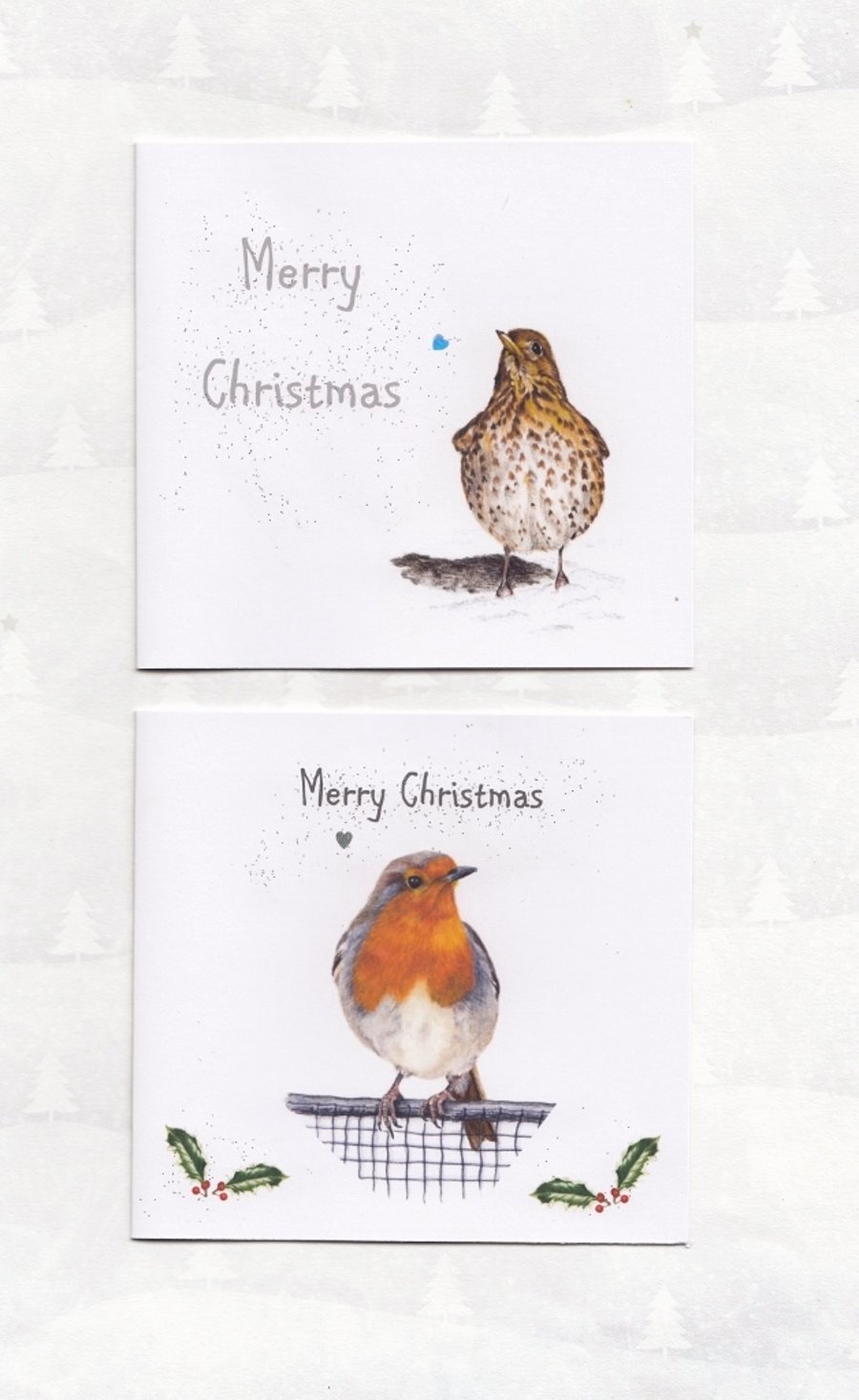 Garden Birds, 6 Christmas Cards, 2 different designs