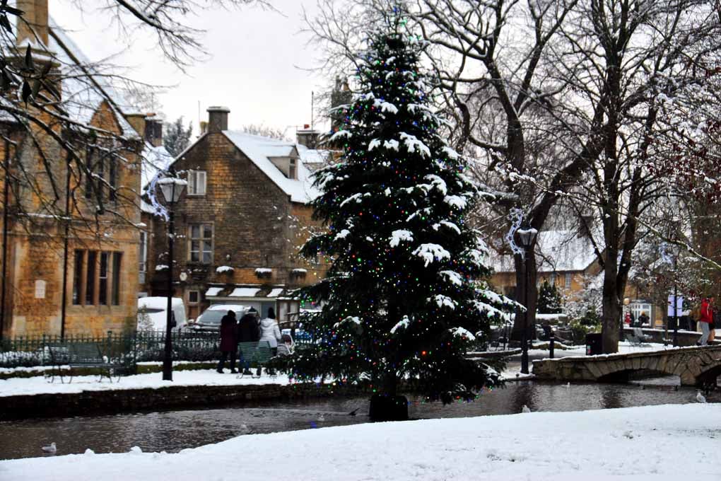 Bourton On The Water Christmas Tree Photograph Print