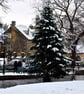 Bourton On The Water Christmas Tree Photograph Print - Image 1