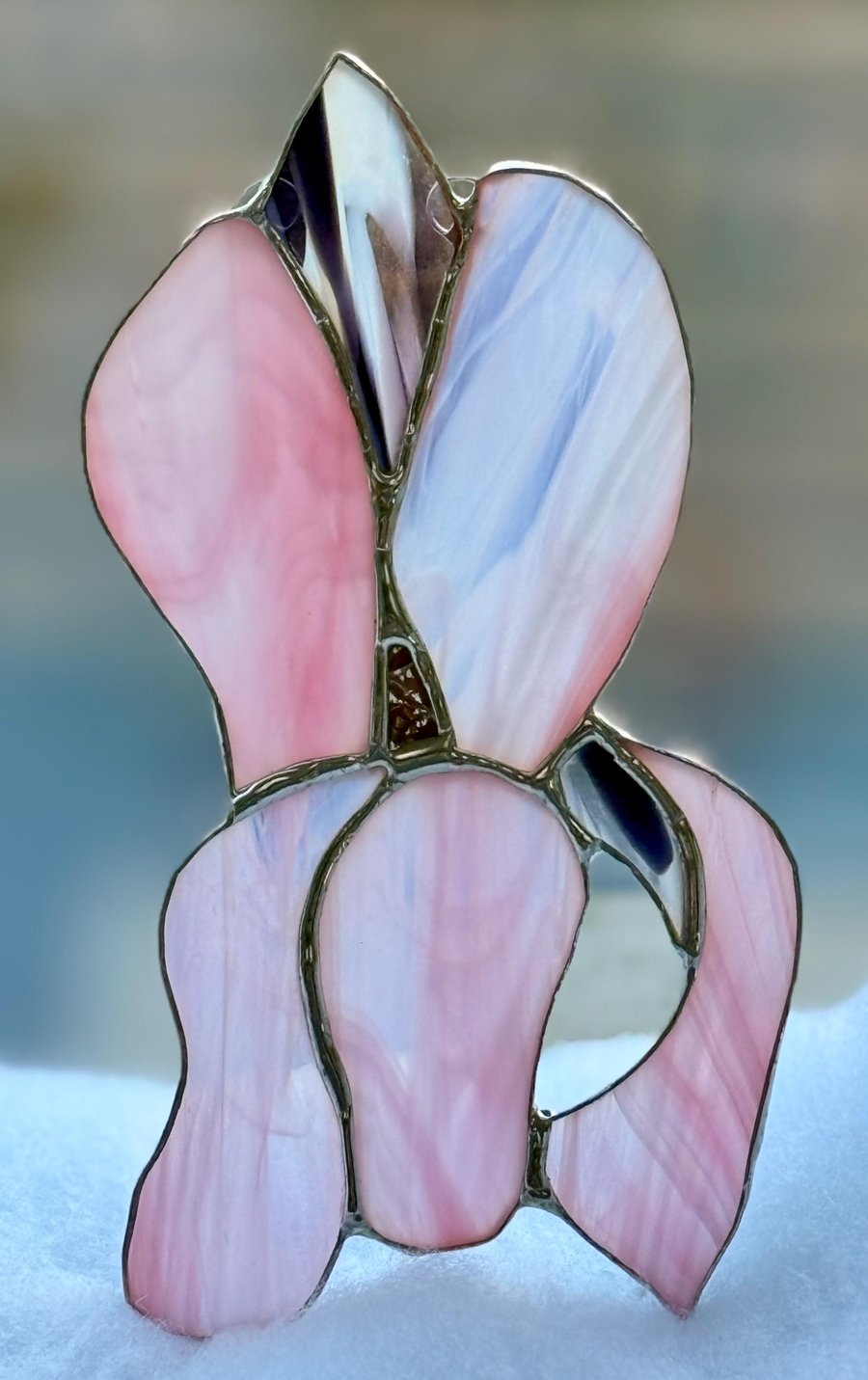 Stained glass iris - wispy pink petals