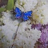 Small COMMON BLUE BUTTERFLY PIN Clay Wedding Lapel Brooch HANDMADE HAND PAINTED