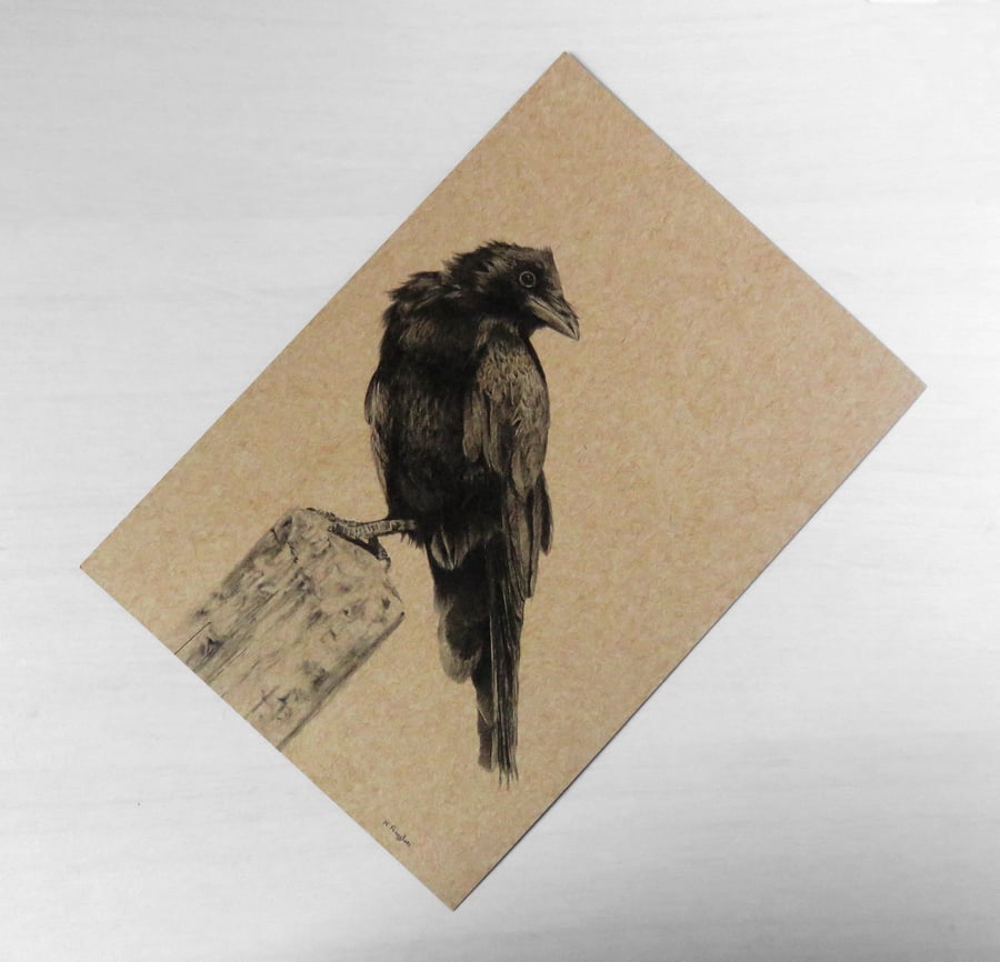 Young crow print on natural kraft recycled card stock, A5
