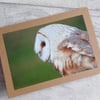 Barn Owl Photo Greetings Card