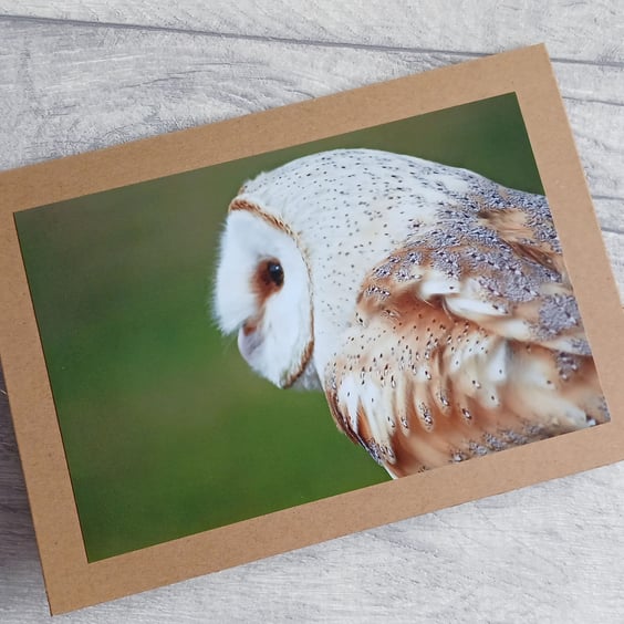 Barn Owl Photo Greetings Card