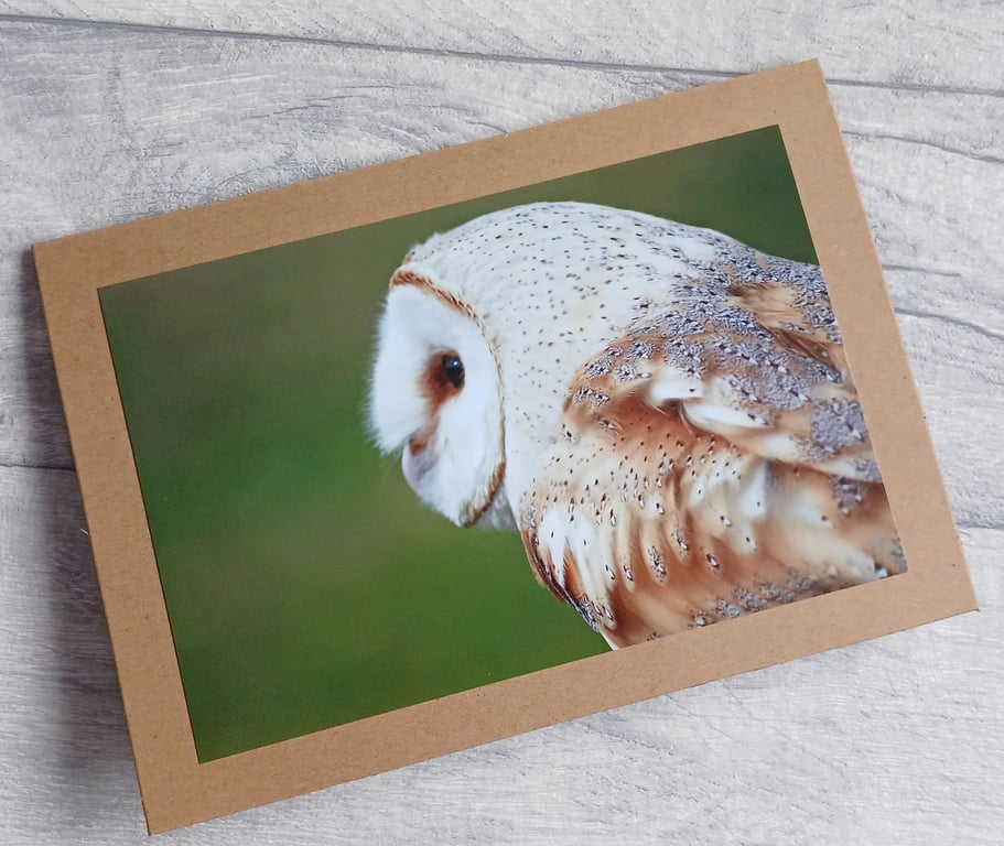 Barn Owl Photo Greetings Card