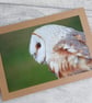 Barn Owl Photo Greetings Card - Image 1