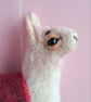 Festive Llamas - Image 5