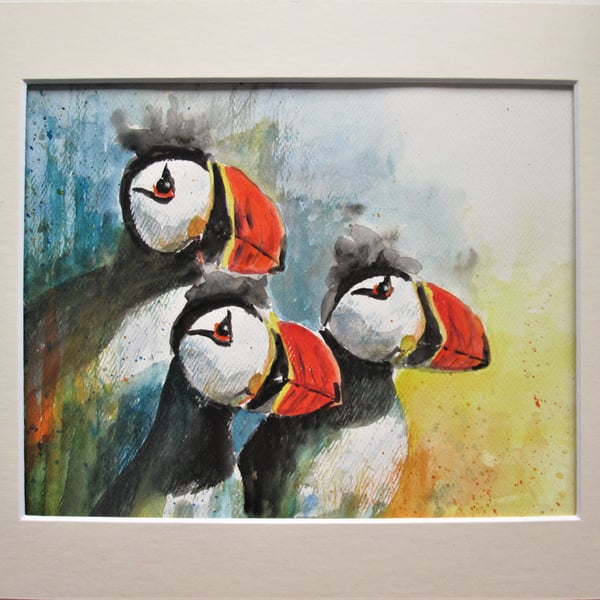 Atlantic Puffins original Watercolour Painting