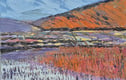 Landscapes