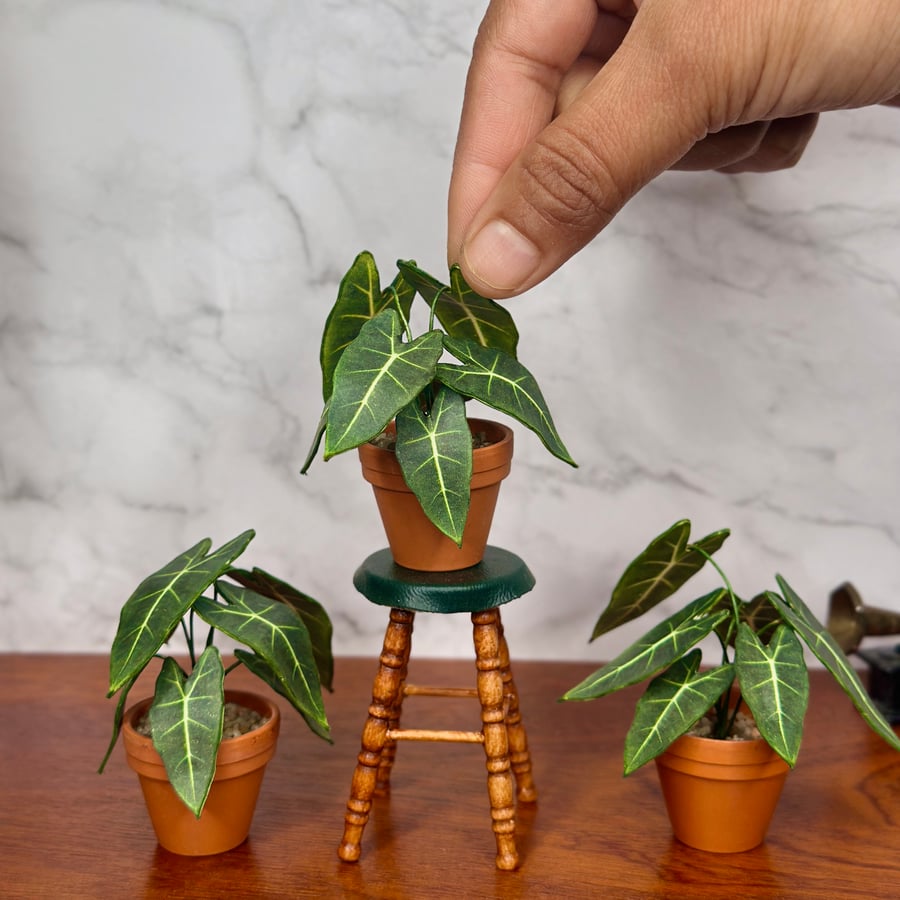 Miniature Alocasia Frydek Plant - Handmade , 1:12 Scale, Dollhouse plant