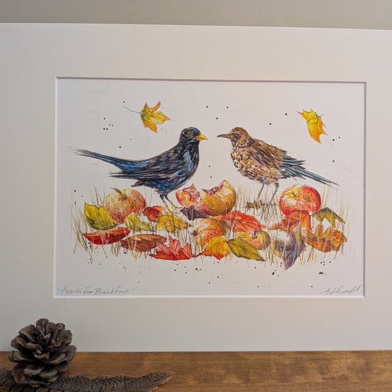Apples for Breakfast (blackbirds eating windfall apples) an A4 or A3 print. 