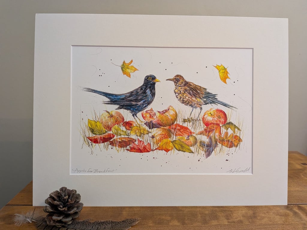 Apples for Breakfast (blackbirds eating windfall apples) an A4 or A3 print. 
