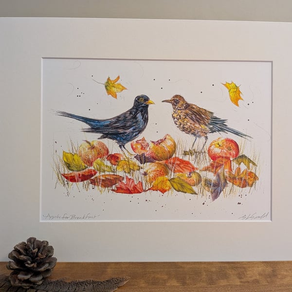 Apples for Breakfast (blackbirds eating windfall apples) an A4 or A3 print. 