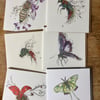  6 x different insects Greeting cards 