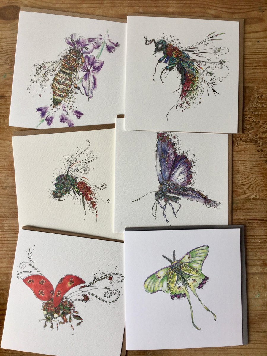  6 x different insects Greeting cards 