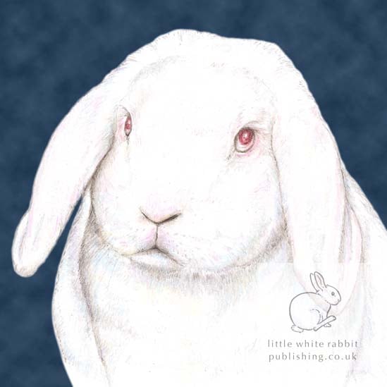 Mr C the White Rabbit - Blank Card