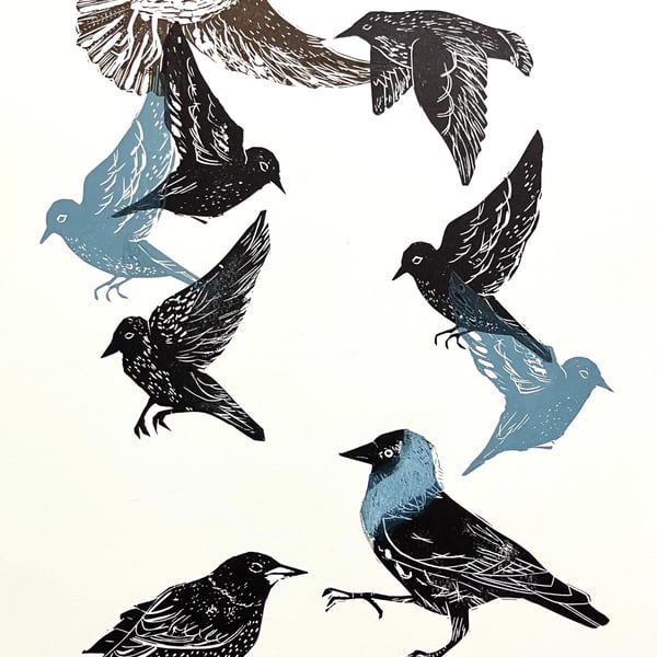 Jackdaws and Starlings - Lino Cut