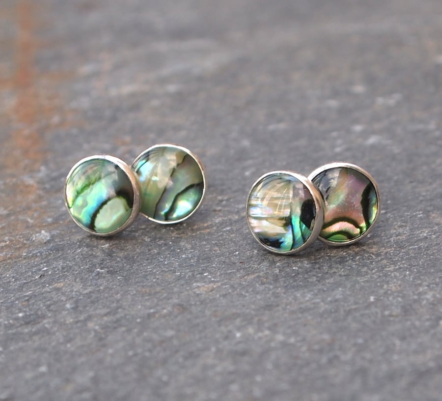 Shell earrings, silver studs