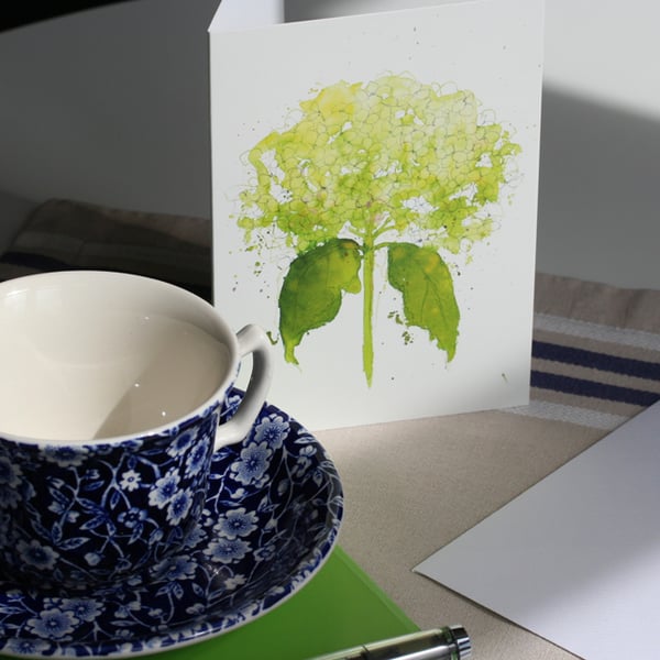 Hydrangea card