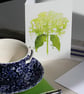 Hydrangea card