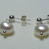 Freshwater Pearl and Sterling silver Earrings