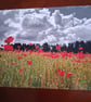 POPPY FIELD WITH A CLOUDY SKY