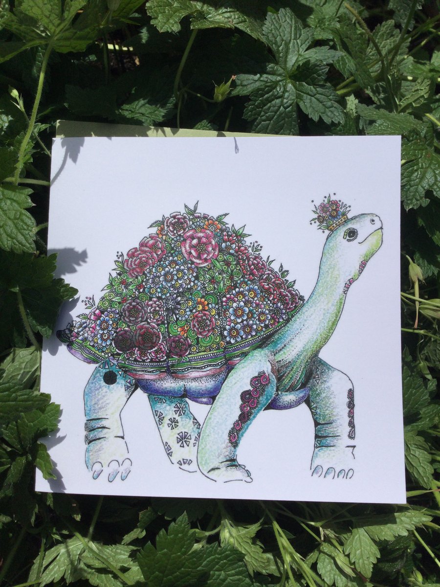 Sparkly tortoise greeting card 