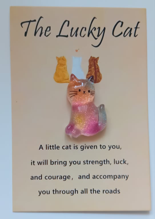 Lucky cat pocket hug 