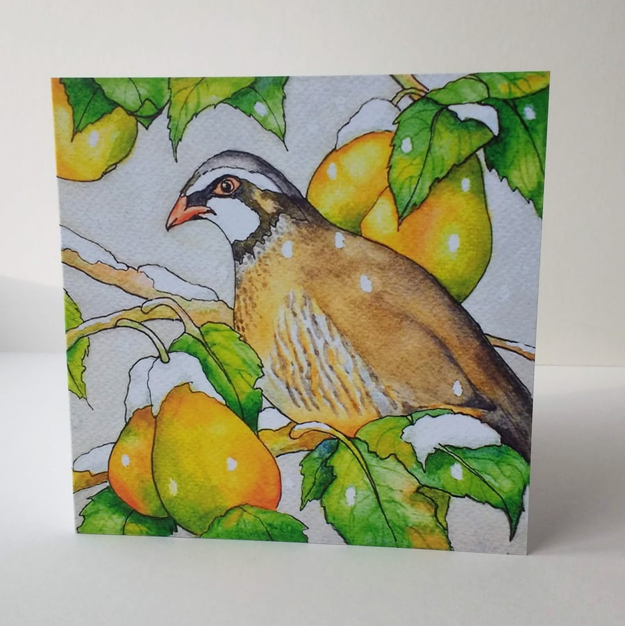 A Partridge in a pear Tree