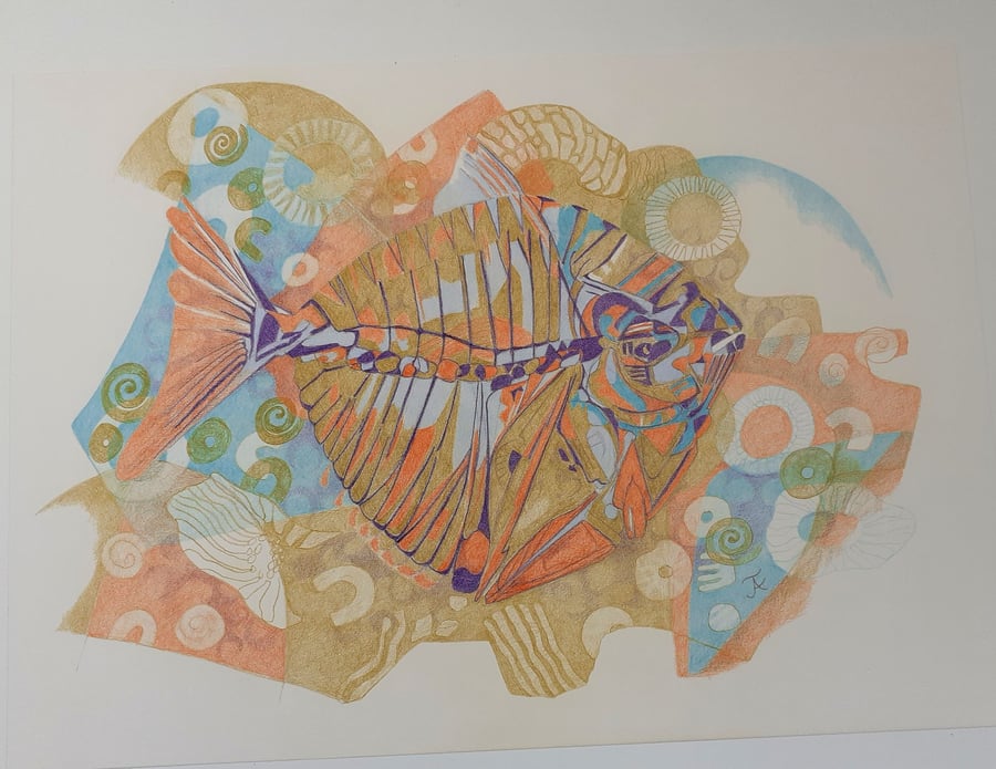 Fossilised Fish - original pencil drawing.