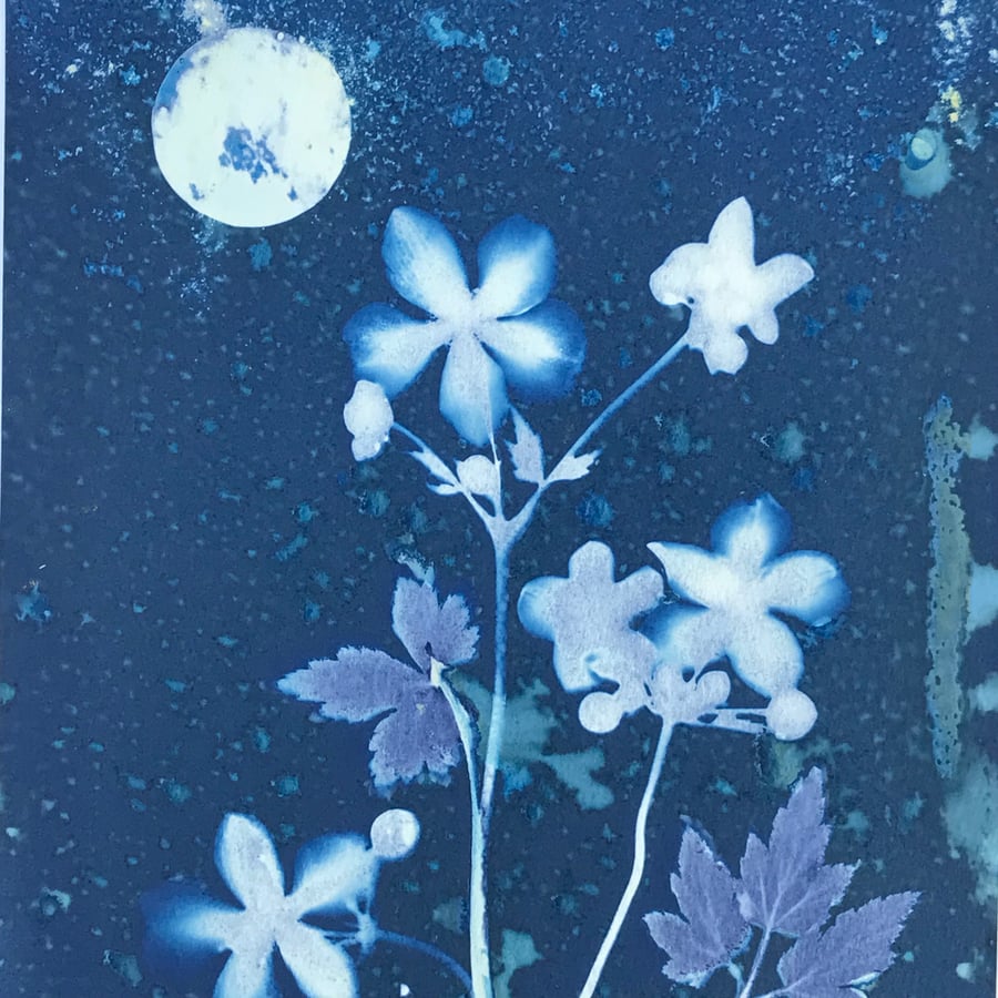 A Cyanotype Original artwork, Kehlani - Evening Anemones made beautifully blue.