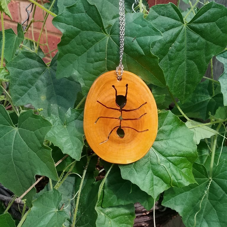 Bug pendant, could be an Ant.