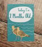 Baby Milestone Sheets - Image 6